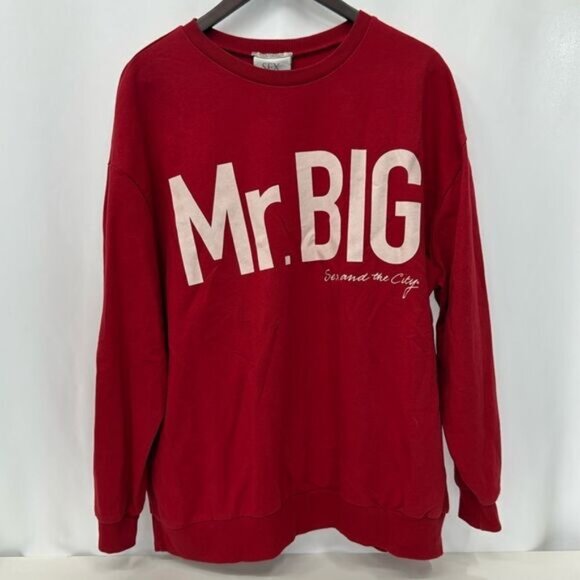 Zara Trafaluc Mr Big sex and the city sweatshi sz M - Picture 1 of 2